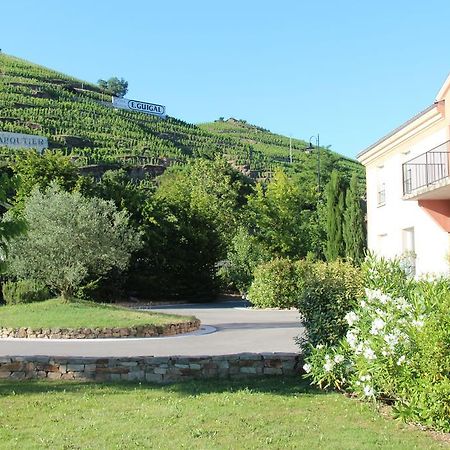 Hotel Le Domaine Des Vignes Ampuis Lyon Sud Vienne Eksteriør billede