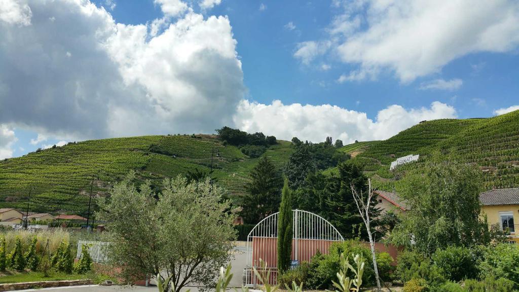 Hotel Le Domaine Des Vignes Ampuis Lyon Sud Vienne Eksteriør billede