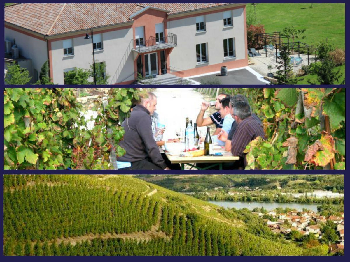 Hotel Le Domaine Des Vignes Ampuis Lyon Sud Vienne Eksteriør billede